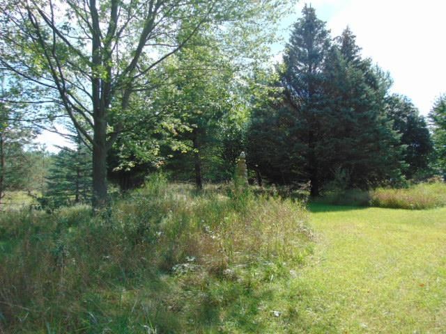 30 East Polk Road Ithaca, MI 48847 - Photo 19 of 45 1892390-19.JPG