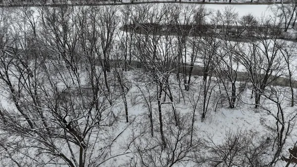 $118,900 | 32 Southwest St Motley Mn 56466, Motley, MN 56466