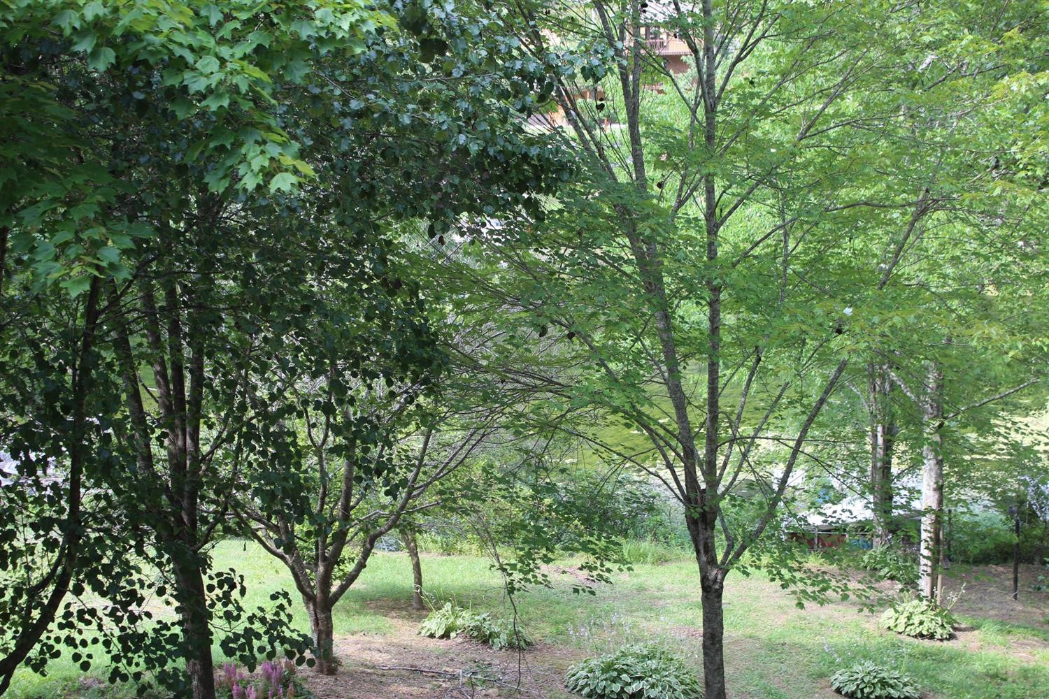 606 Fisherman Cove Road London, KY 40741 - Photo 16 of 32 Photo 17