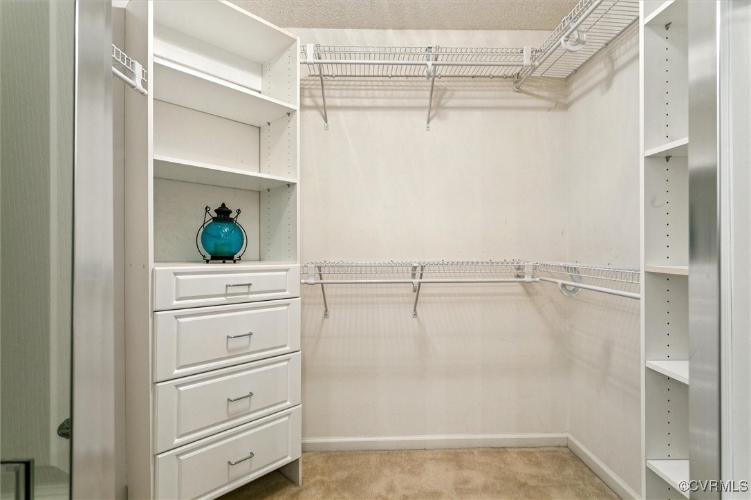 262 Claiborne Drive Williamsburg, VA 23185 - Photo 33 of 49 Spacious closet with light carpet