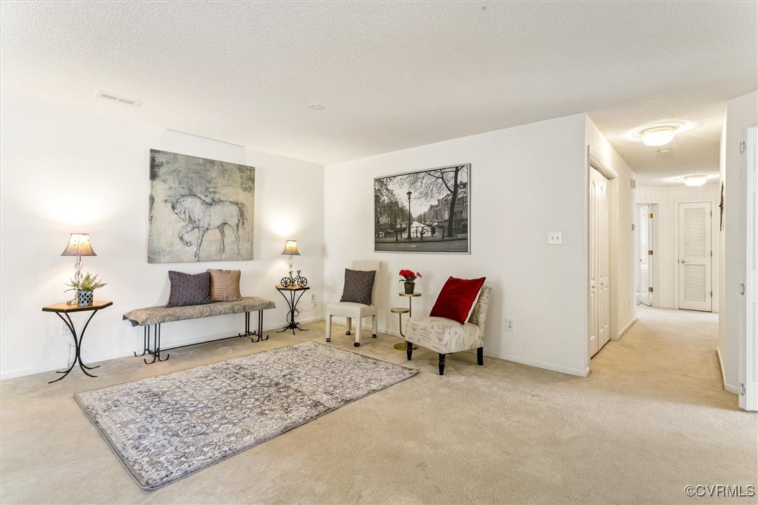 262 Claiborne Drive Williamsburg, VA 23185 - Photo 9 of 49 Living area featuring carpet floors and a textured