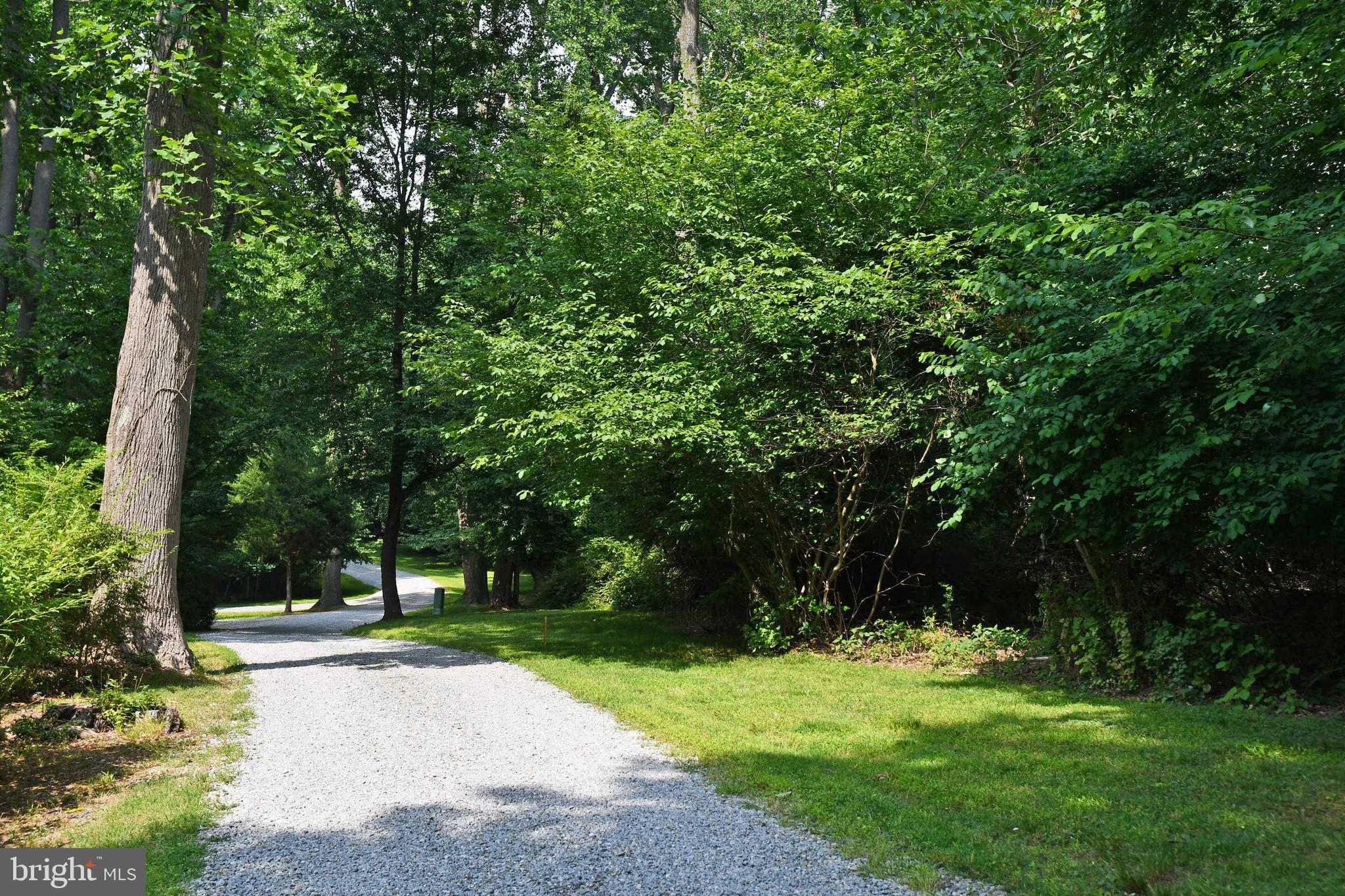 Center Road Earleville, MD 21919 - Photo 3 of 7 Property on the right looking North