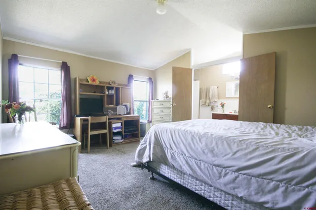 a bedroom with a bed and dresser