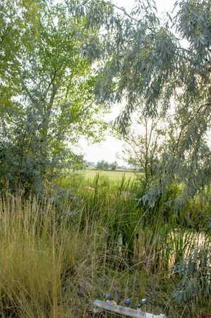 $445,000 | 2405 Mesa Drive, Olathe, CO 81425