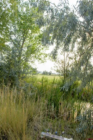 $445,000 | 2405 Mesa Drive, Olathe, CO 81425