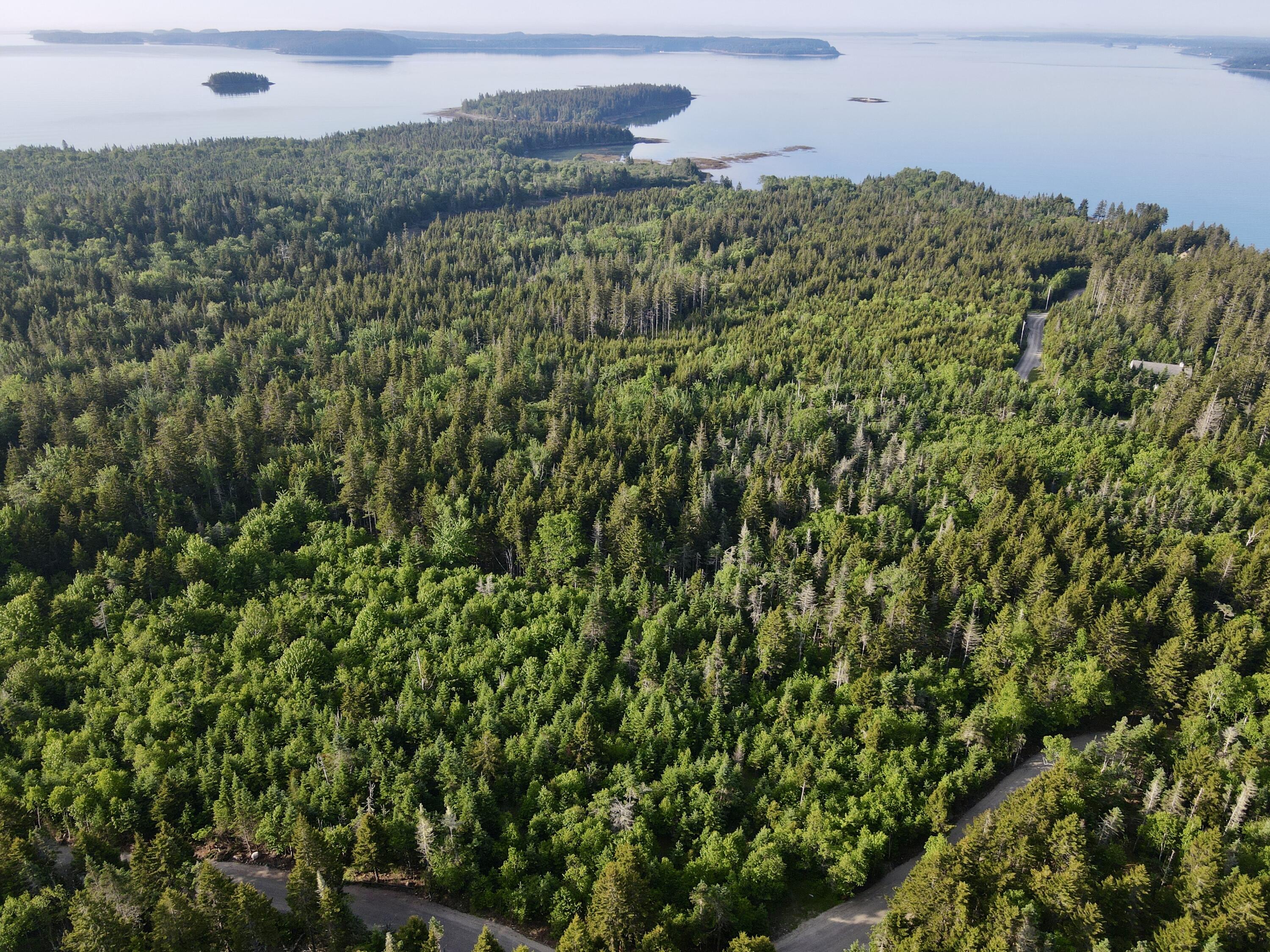 Lot 57 Chambers Point Road Roque Bluffs, ME 04654 - Photo 11 of 28 dji_fly_20240613_070202_80_1718277114063