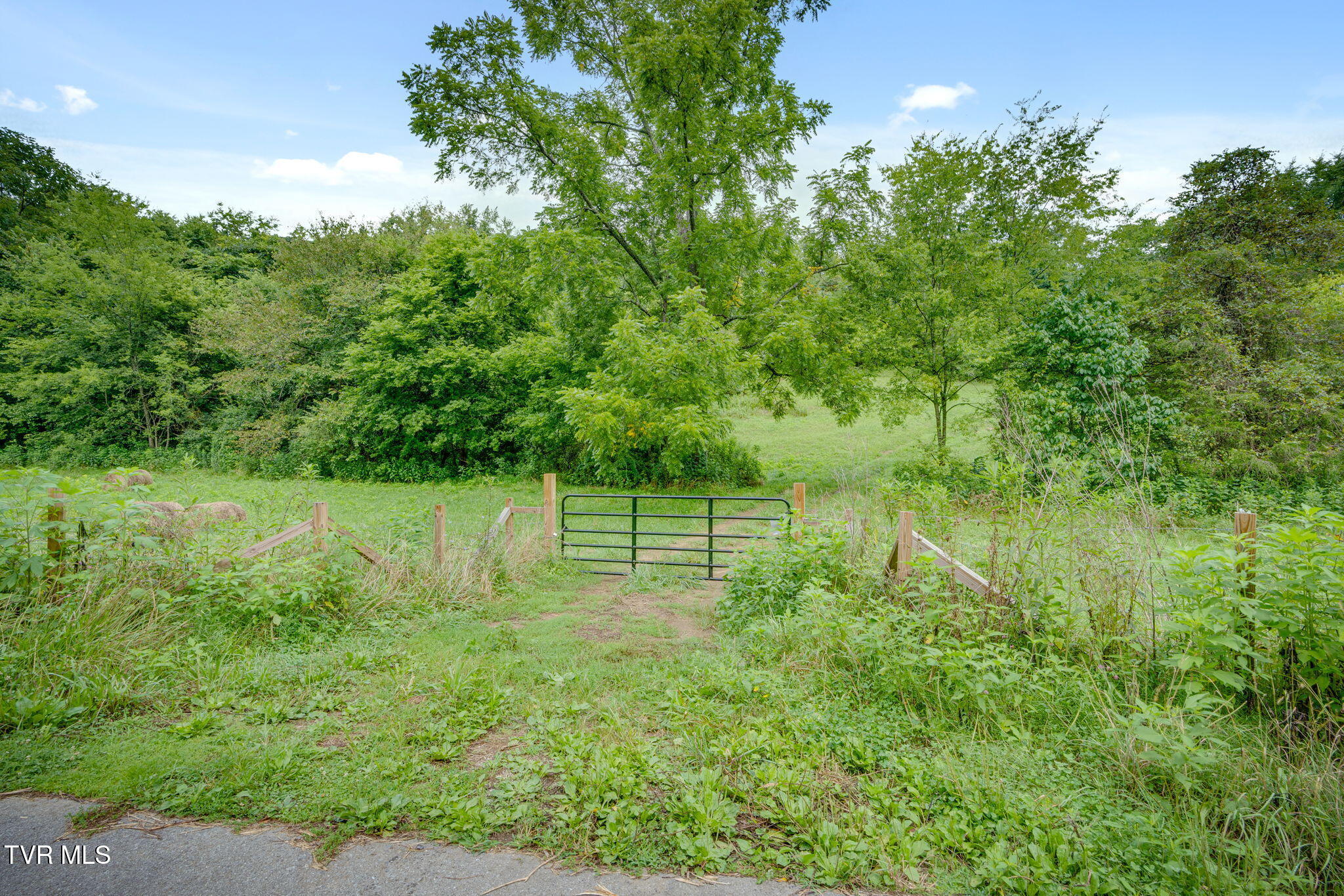 1385 Betsy Ross Road Afton, TN 37616 - Photo 13 of 24 001