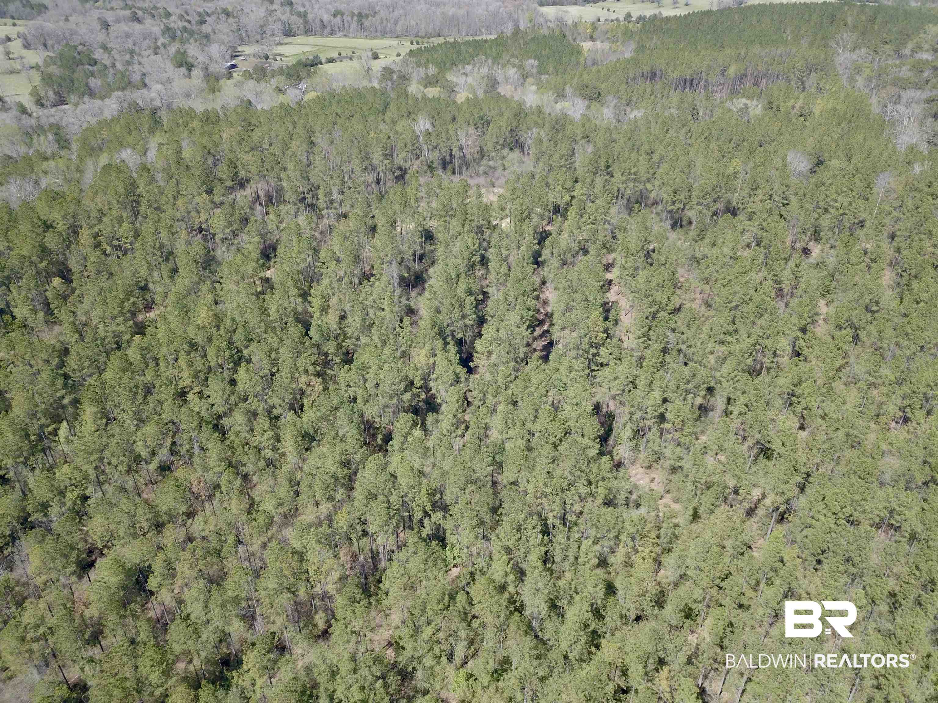 8557 County Road 34 Millry, AL 36558 - Photo 8 of 36 Birds eye view of property featuring a view of trees