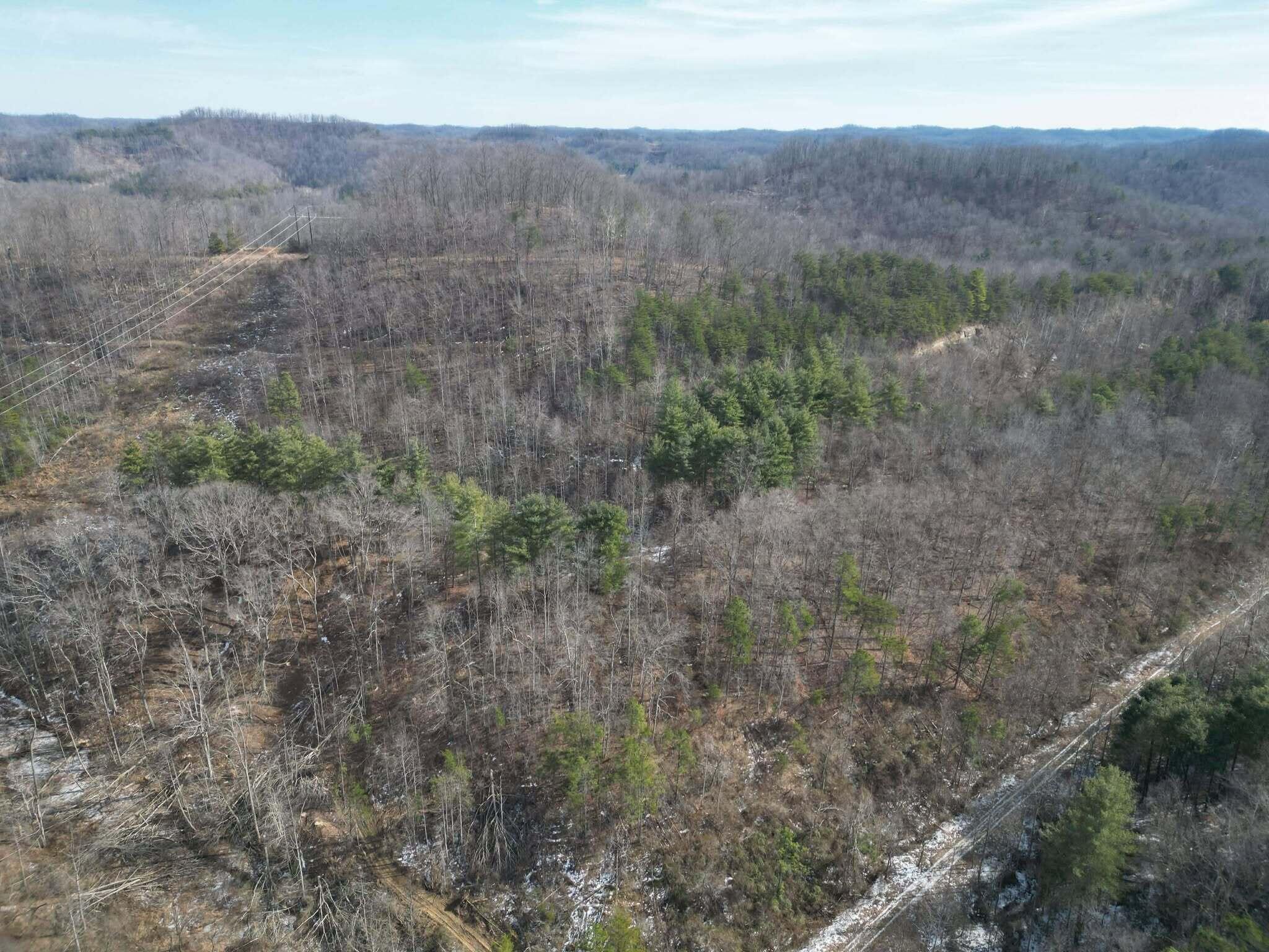 0 Brier Fork Road Isonville, KY 41149 - Photo 9 of 12 627818576_895423569778098_26047926660977
