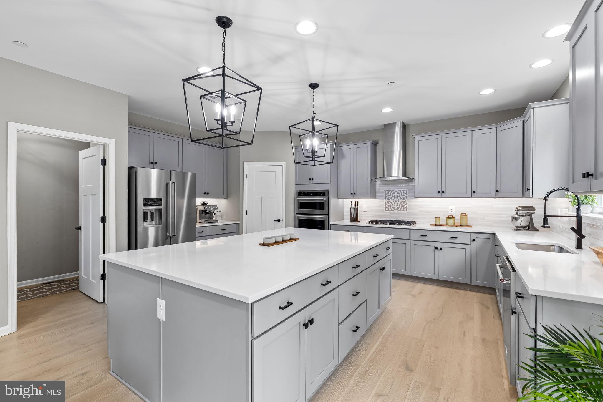 14536 Black Ankle Road Mount Airy, MD 21771 - Photo 23 of 41 Sleek modern kitchen with elegant design.