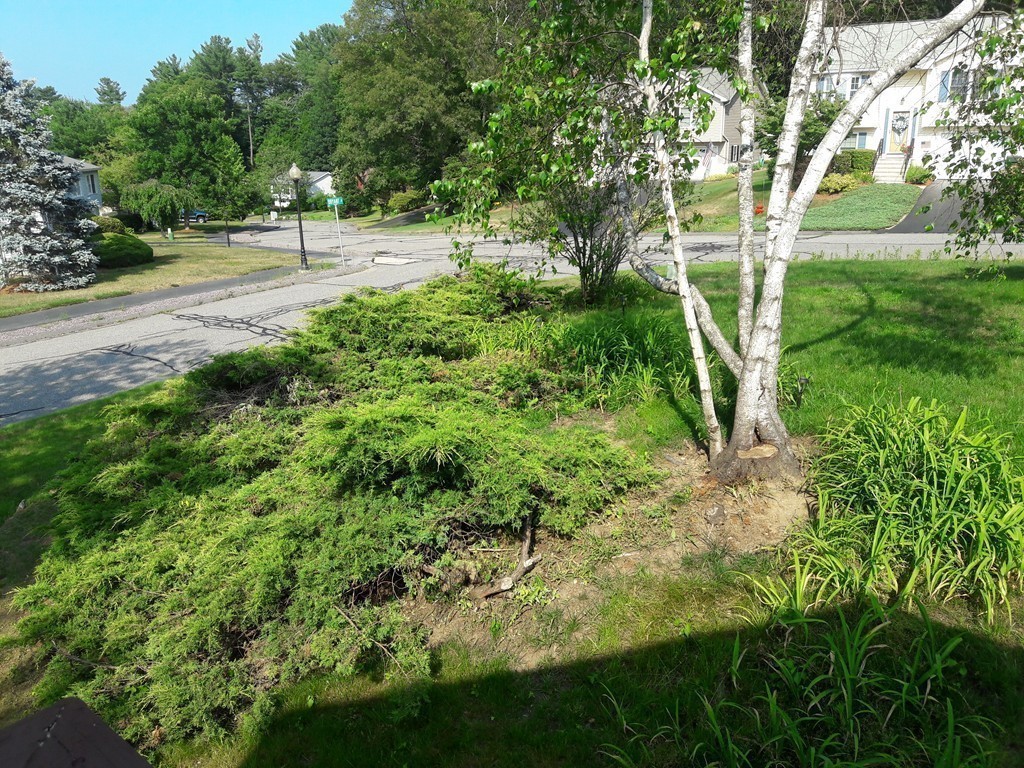 5 Allison Road, Unit 5 Northborough, MA 01532 - Photo 11 of 15 Gallery Image 11
