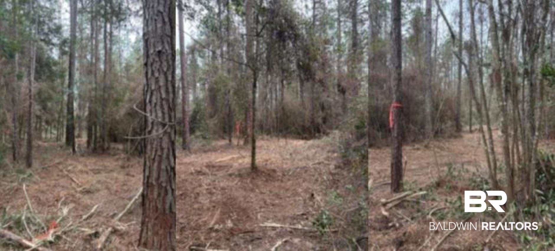 0 Roberts Chapel Road Mobile, AL 36608 - Photo 8 of 9