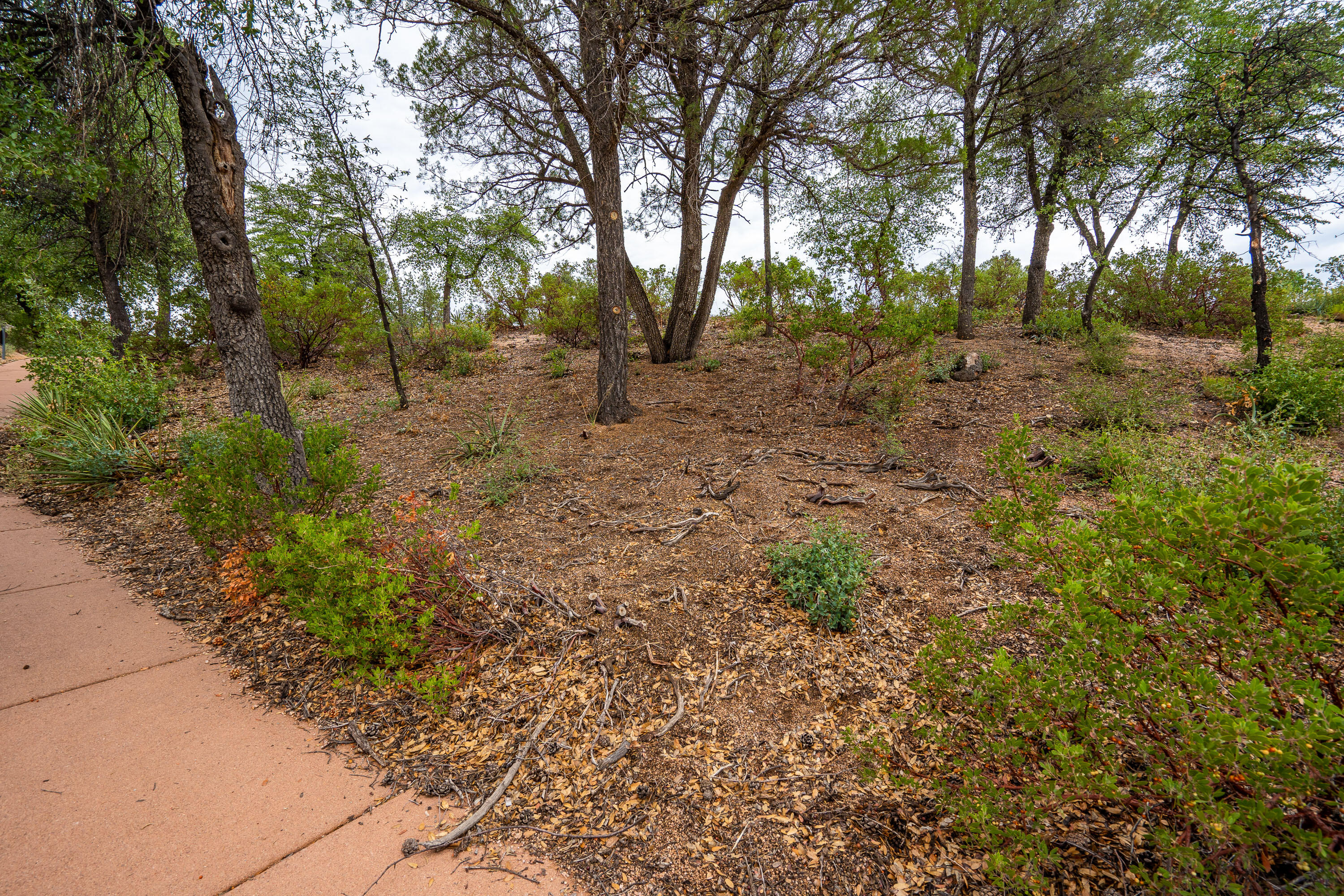 3001 East Arrow Point Payson, AZ 85541 - Photo 18 of 27 Gallery Image 18