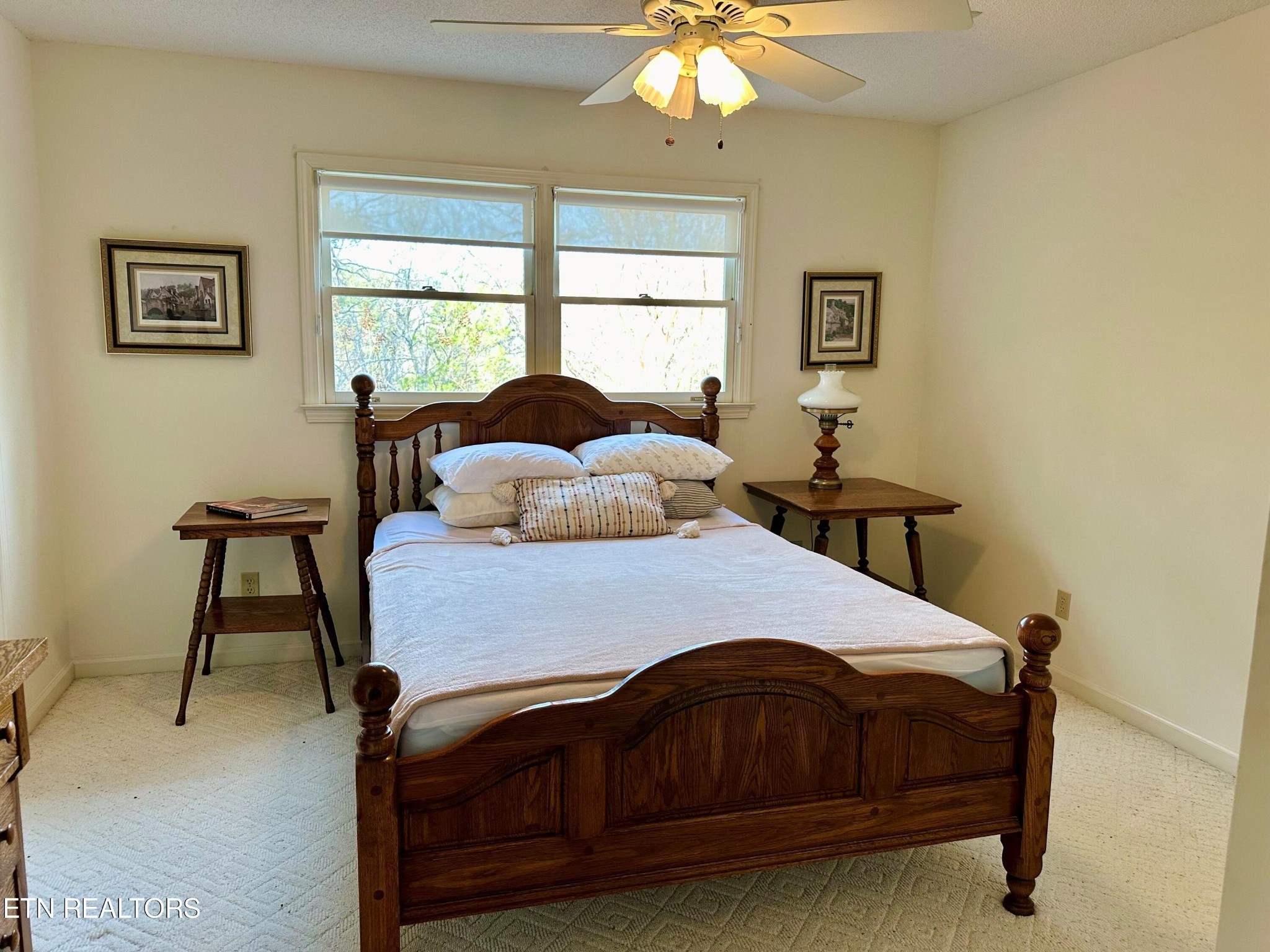 530 Nathans Nook Road Townsend, TN 37882 - Photo 25 of 43 Gallery Image 25