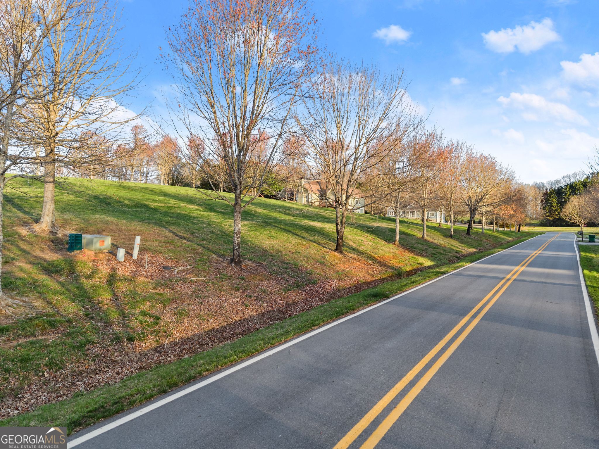Lot 27 Spring Field Drive Clarkesville, GA 30523 - Photo 2 of 6