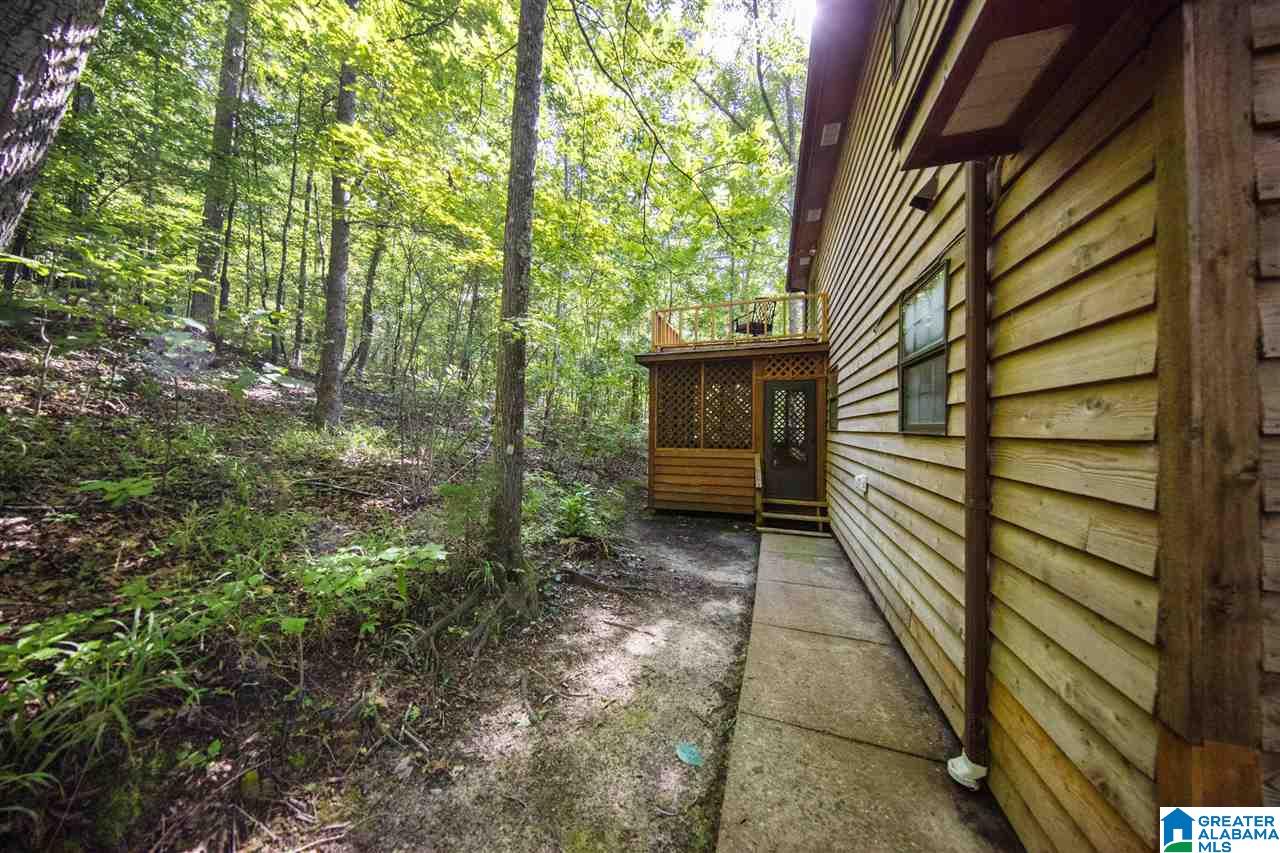 1727 Sand Valley Road Oneonta, AL 35121 - Photo 6 of 43
