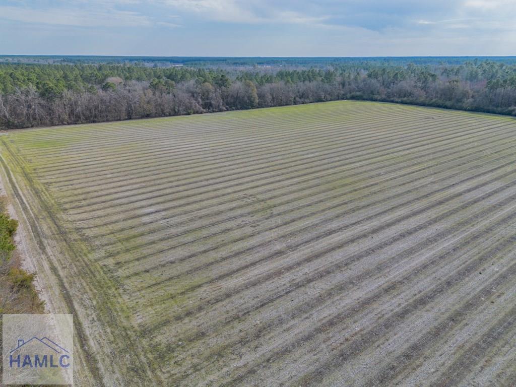 3 Reddish Road Screven, GA 31560 - Photo 20 of 55 Gallery Image 20