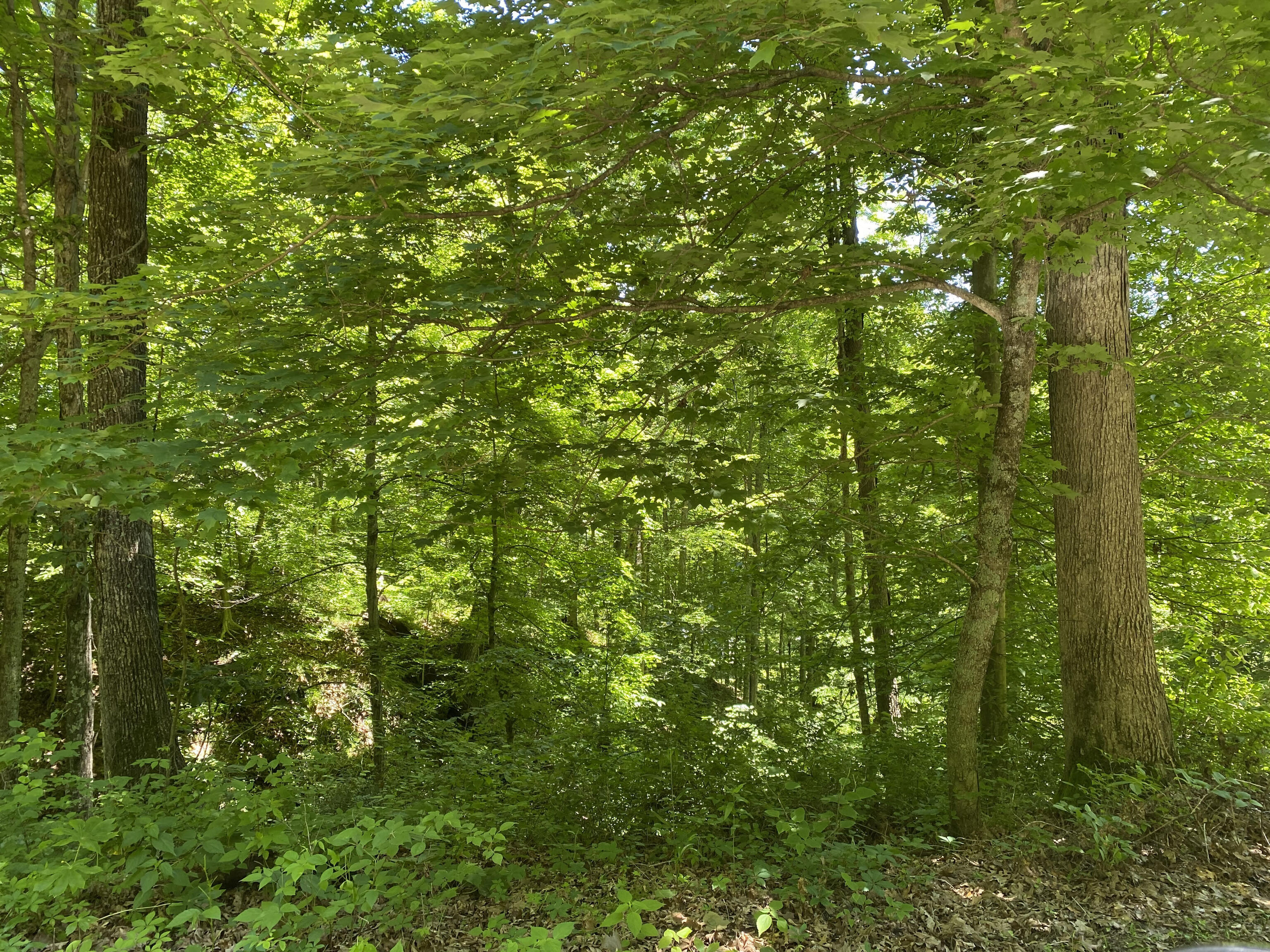 1290 Borders Road Nashville, IN 47448 - Photo 10 of 12 Gallery Image 10