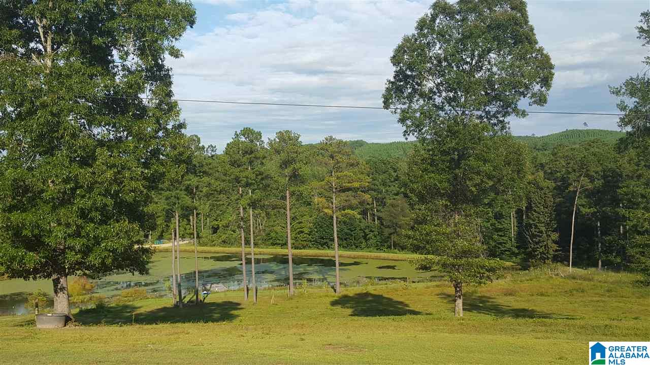 2095 Selma Road Centreville, AL 35042 - Photo 6 of 22