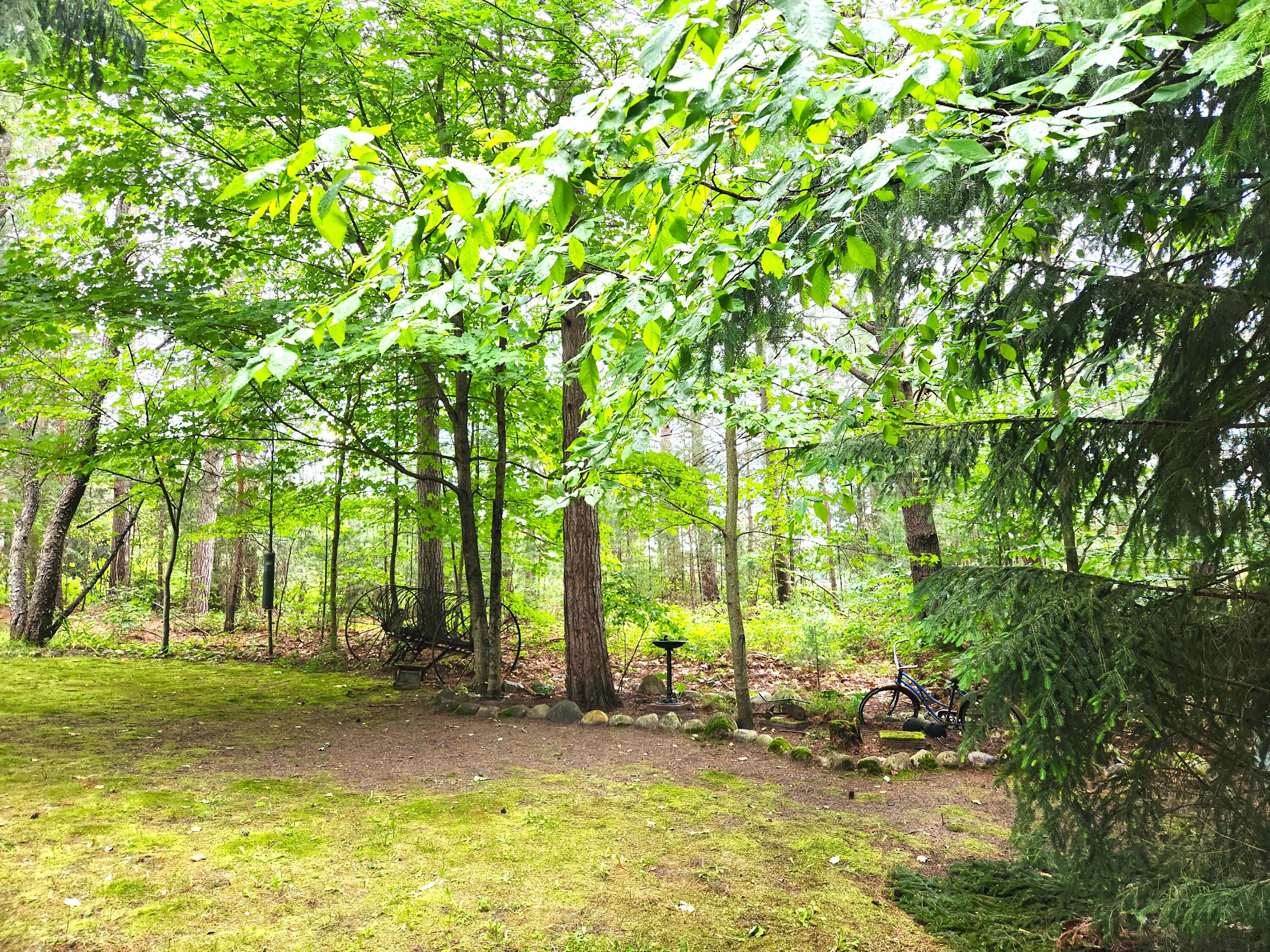 480 East Marlette Road Frederic, MI 49733 - Photo 5 of 47 Gallery Image 5