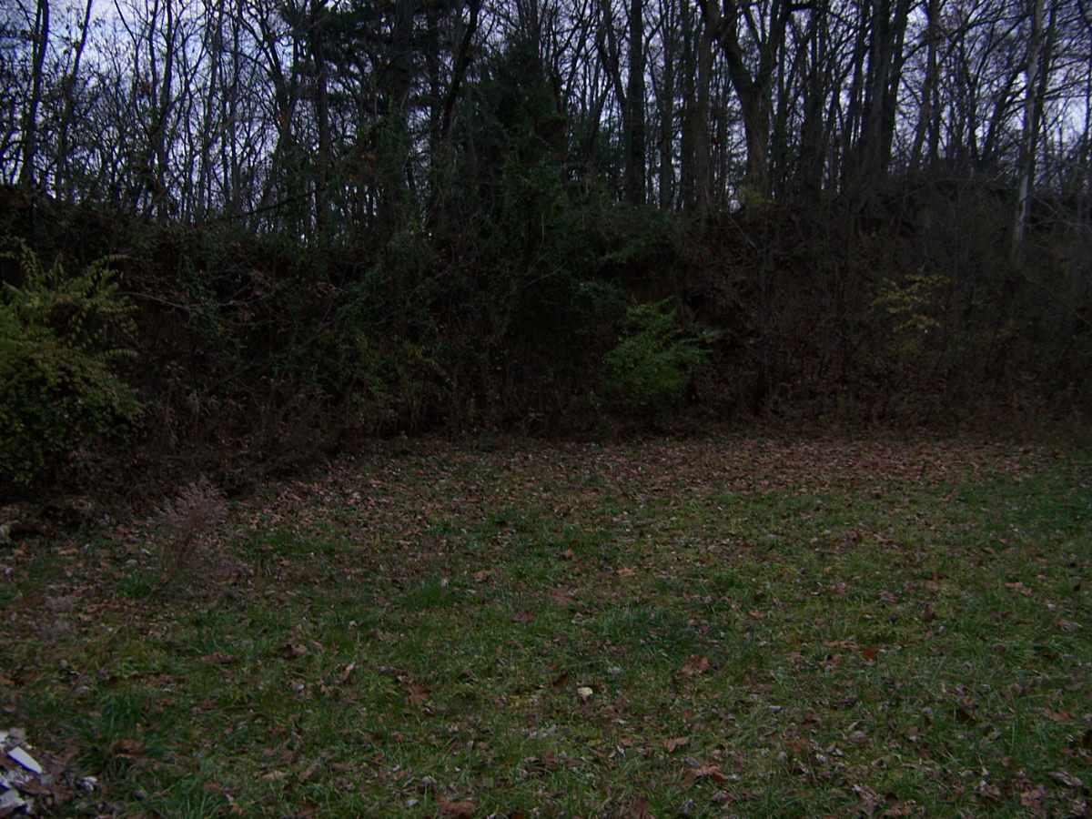 0 West Mackey Ferry Road Mount Vernon, IN 47620 - Photo 8 of 10 Gallery Image 8