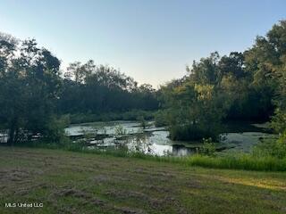 Red Oak Extension Lucedale, MS 39452 - Photo 2 of 10 IMG_8464