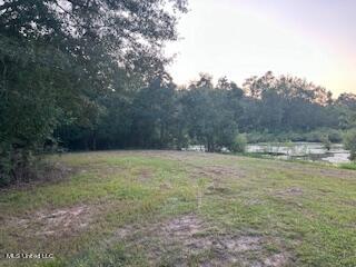 Red Oak Extension Lucedale, MS 39452 - Photo 6 of 10 IMG_8474
