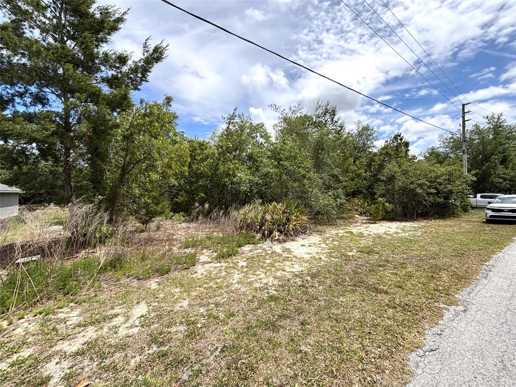 66 Lone Pine Street Homosassa, FL 34446 - Photo 31 of 31