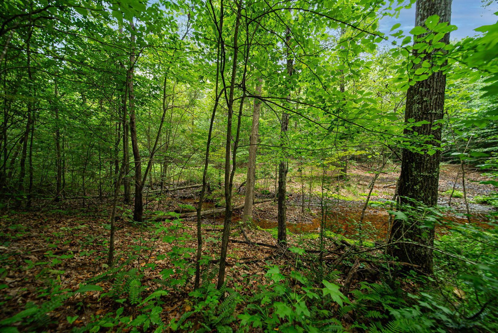 9758 Wesley Chapel Road Mount Perry, OH 43760 - Photo 23 of 43 22-web-or-mls-Todd Burns - 9758 Wesley C