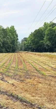 $69,000 | 123 Mt Zion Road, St. George, SC 29477