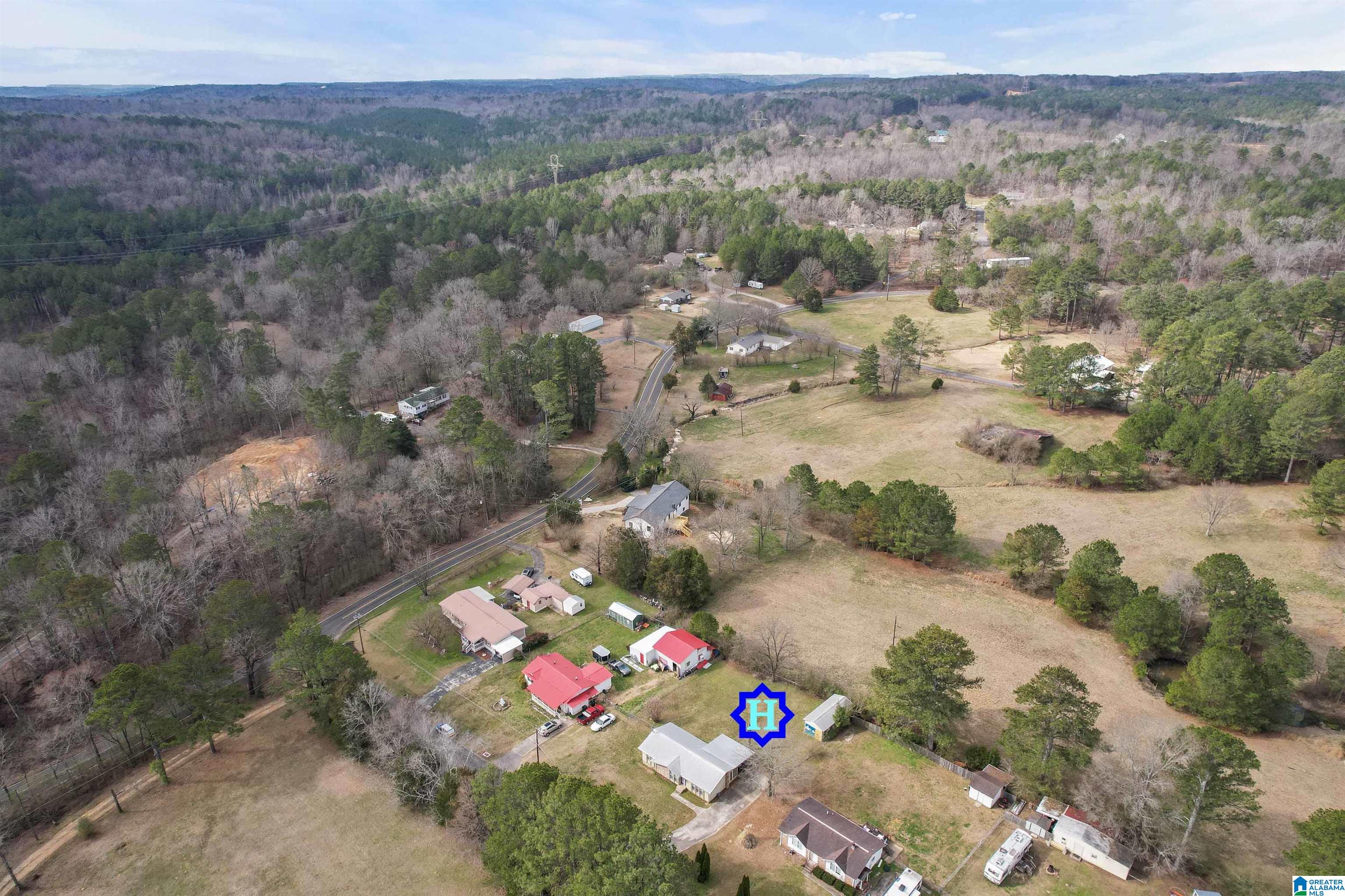 7026 Groundhog Road Morris, AL 35116 - Photo 9 of 34