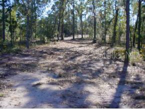 0 Northwest County Road Bell, FL 32619 - Photo 1 of 1