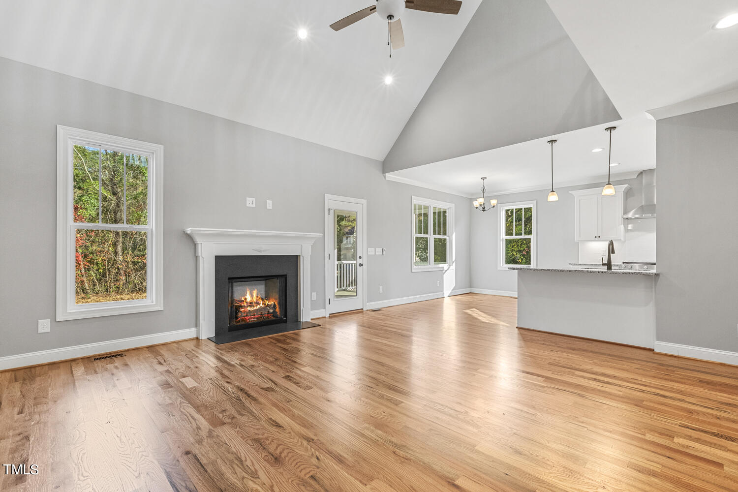 1006 Butler Drive Erwin, NC 28339 - Photo 10 of 28 018