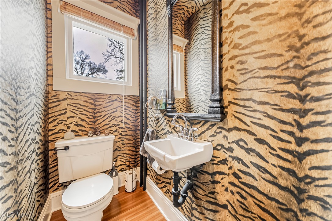 3733 Montevista Road Cleveland, OH 44121 - Photo 27 of 35 Bathroom with sink, hardwood / wood-style floors, and toilet