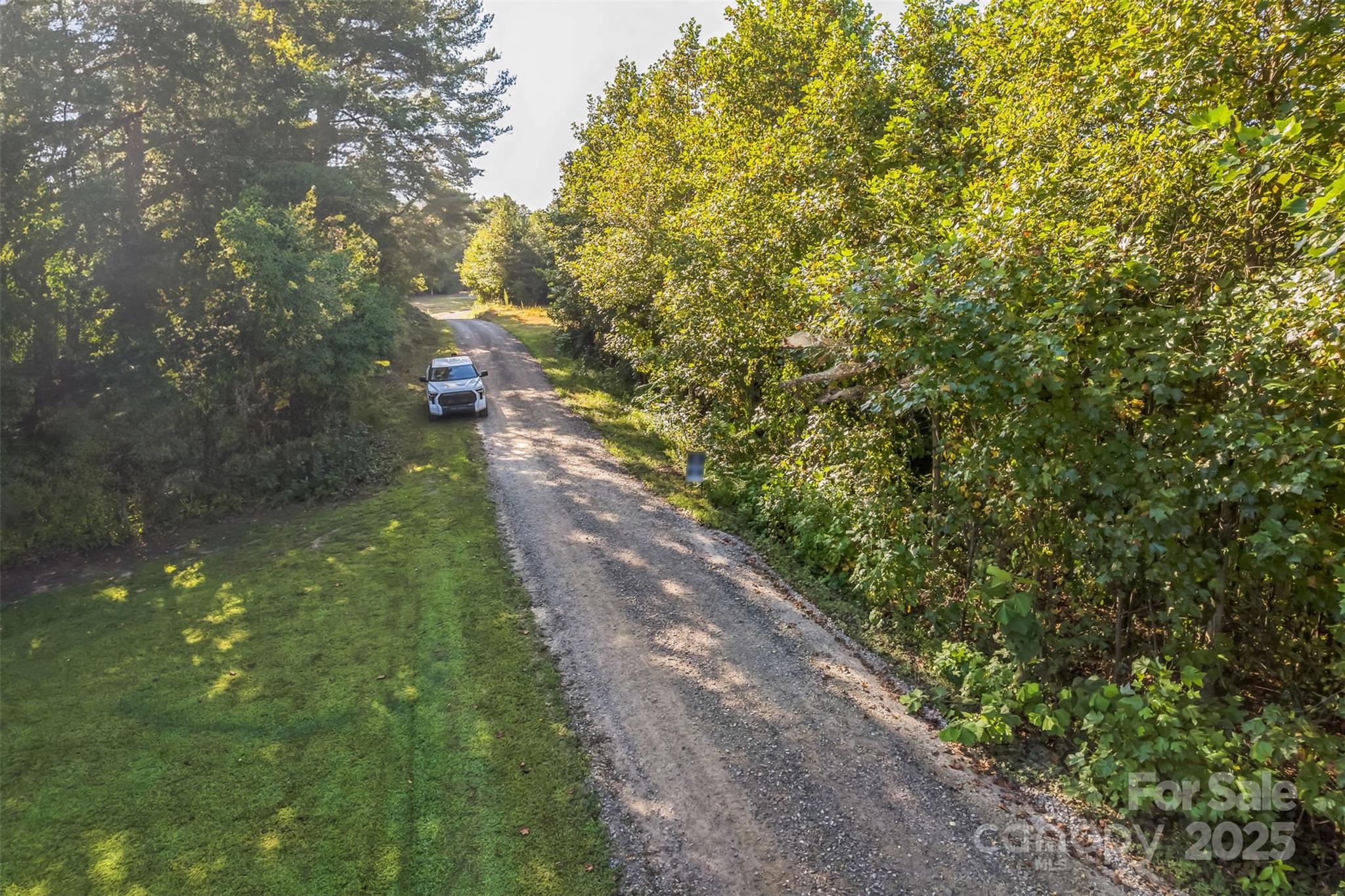 307 Rc Road Traphill, NC 28685 - Photo 14 of 15 a view of a yard with a tree