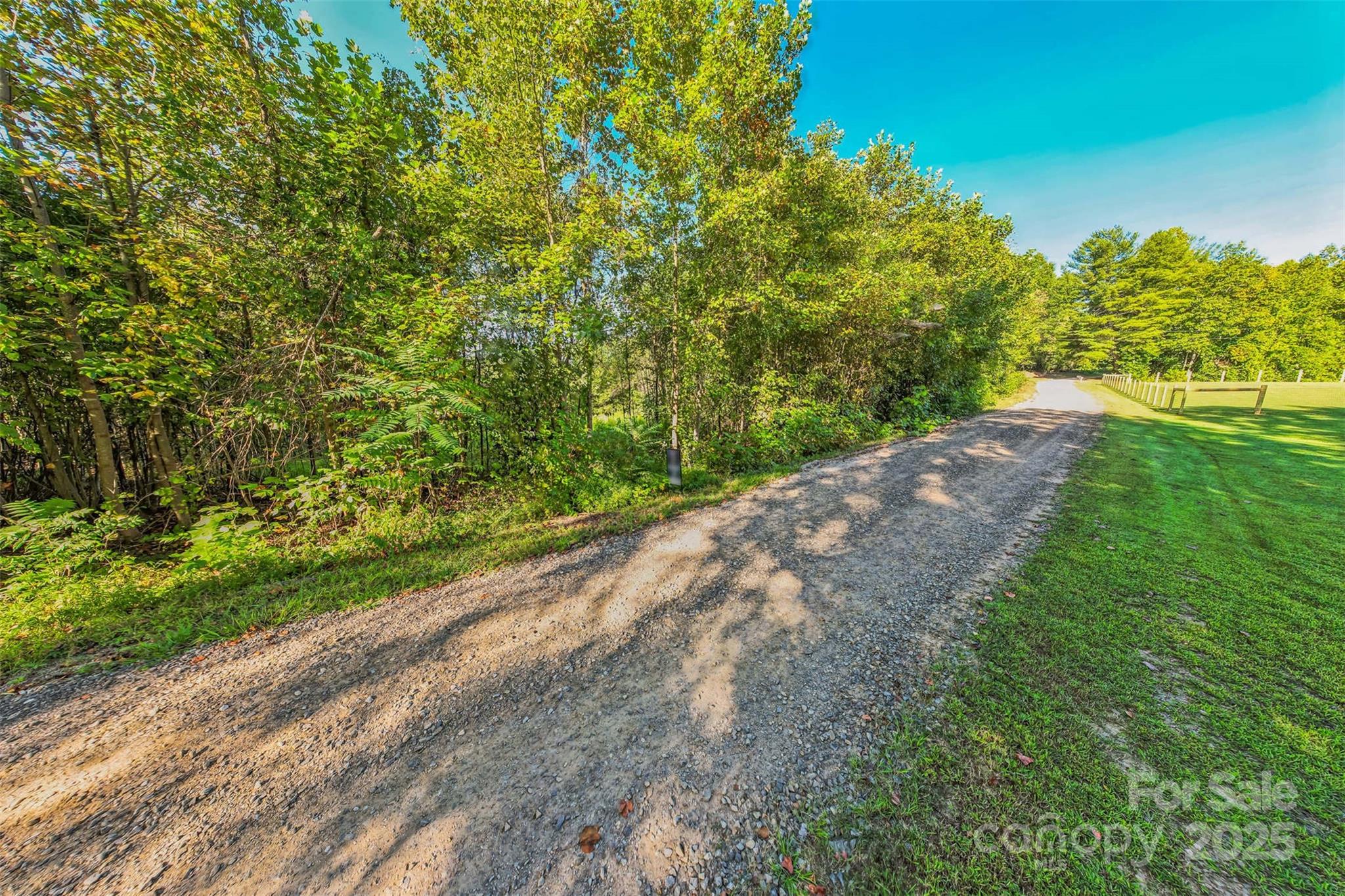 307 Rc Road Traphill, NC 28685 - Photo 15 of 15 a view of a yard with a tree