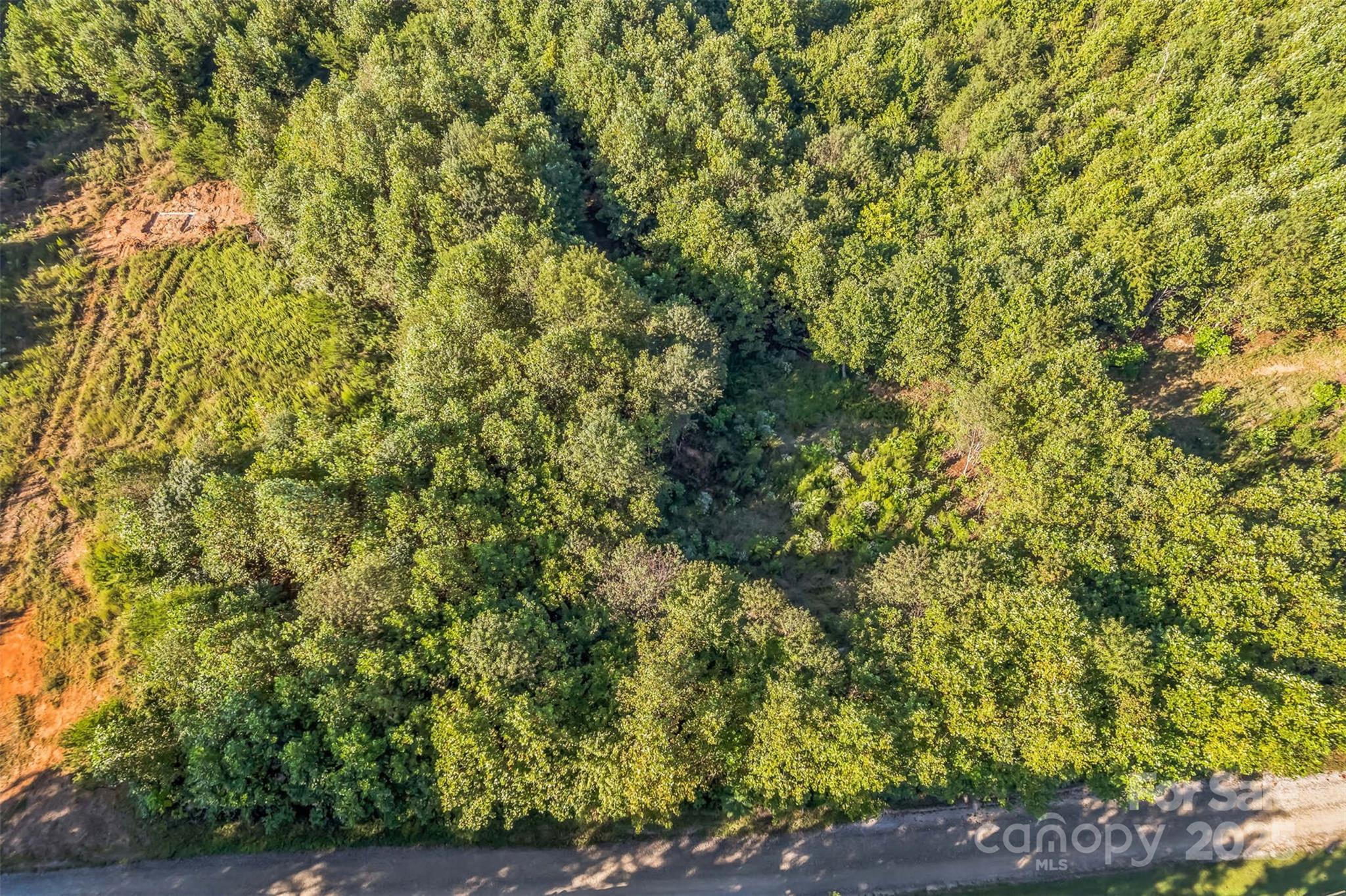 307 Rc Road Traphill, NC 28685 - Photo 2 of 15