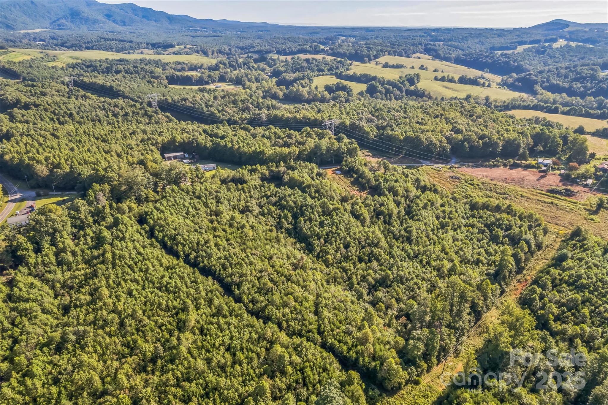 307 Rc Road Traphill, NC 28685 - Photo 8 of 15