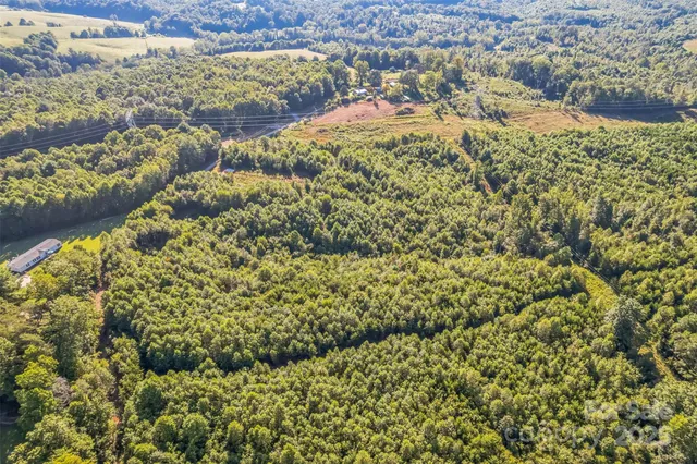 a view of a city with lush green forest