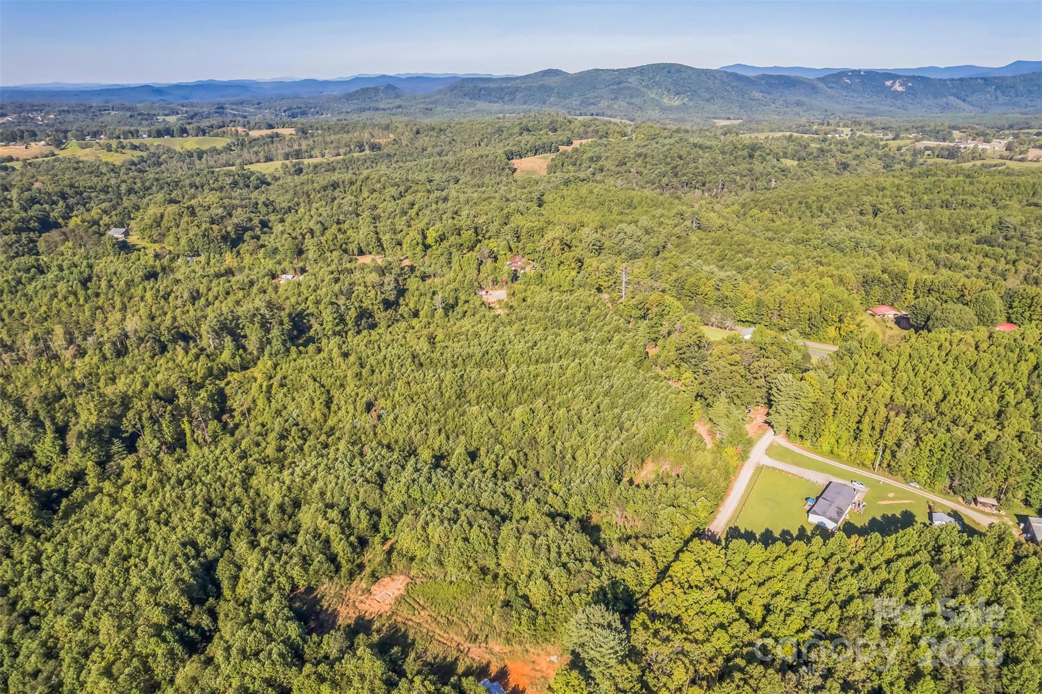 307 Rc Road Traphill, NC 28685 - Photo 10 of 15 a view of a forest with a mountain