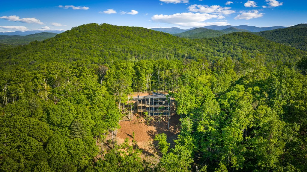 146-7 Figure Ridge Blue Ridge, GA 30513 - Photo 111 of 113 Gallery Image 111