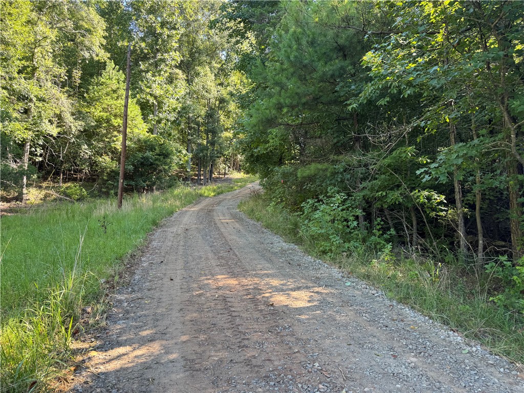 250 Meldau Road Seneca, SC 29678 - Photo 5 of 17 Newly graded drive for easy access to lot.