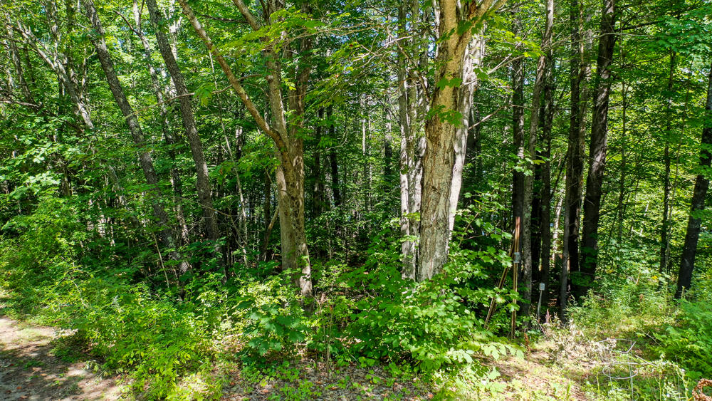 65 Beech Pond Road Palermo, ME 04354 - Photo 1 of 21 65beechpond-1