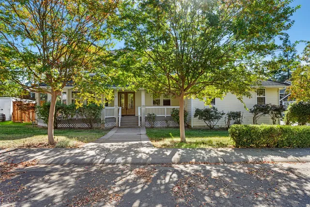 a view of a yard with plants and large trees