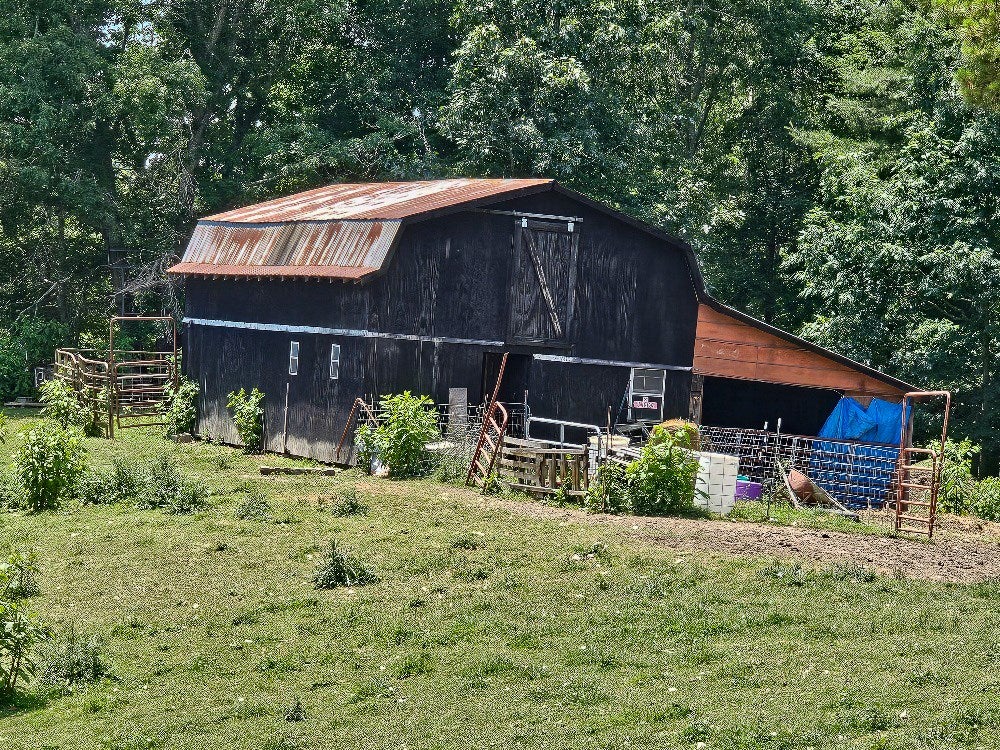 Tbd Stevens Creek Road Fries, VA 24330 - Photo 2 of 13 Gallery Image 2