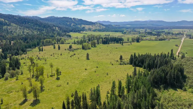 $2,600,000 | 901 Skookum Creek Road, Usk, WA 99180