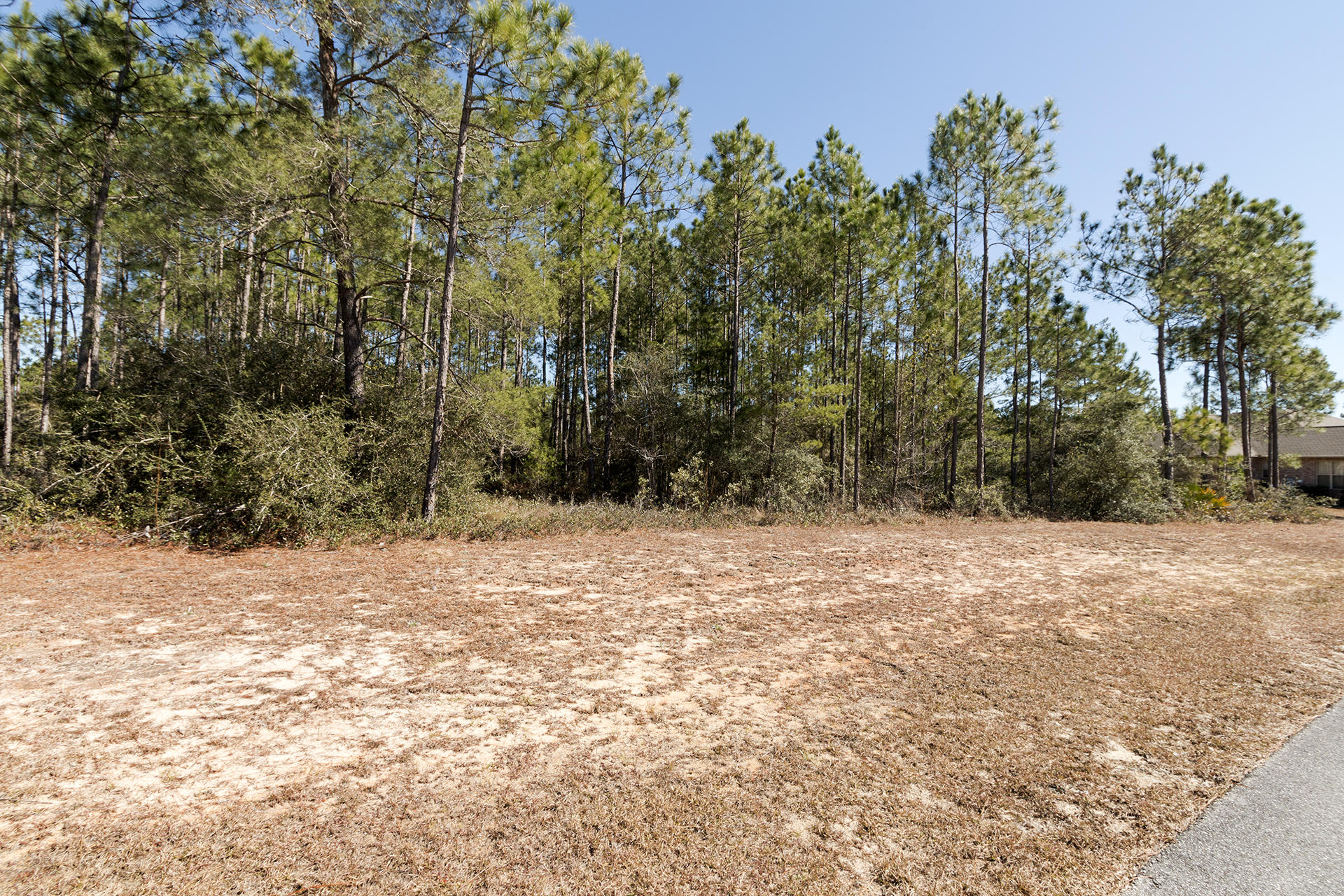 Lot 23 Gulf Pines Freeport, FL 32439 - Photo 1 of 9 a view of a yard with a tree