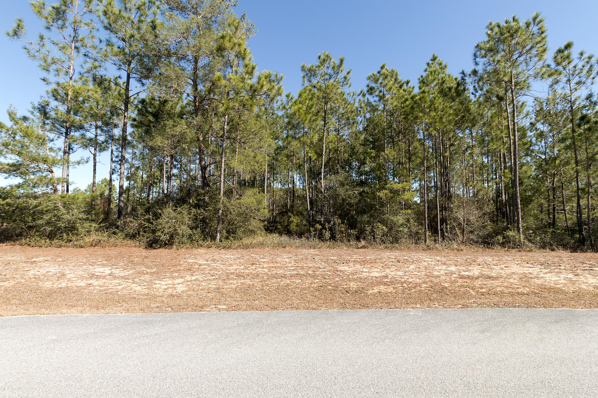 Lot 23 Gulf Pines Freeport, FL 32439 - Photo 2 of 9 a view of road and trees