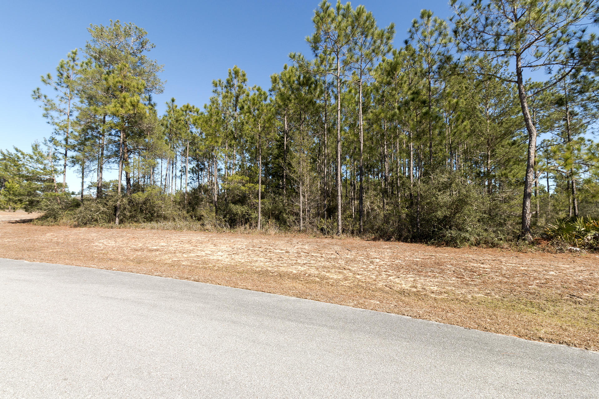 Lot 23 Gulf Pines Freeport, FL 32439 - Photo 4 of 9