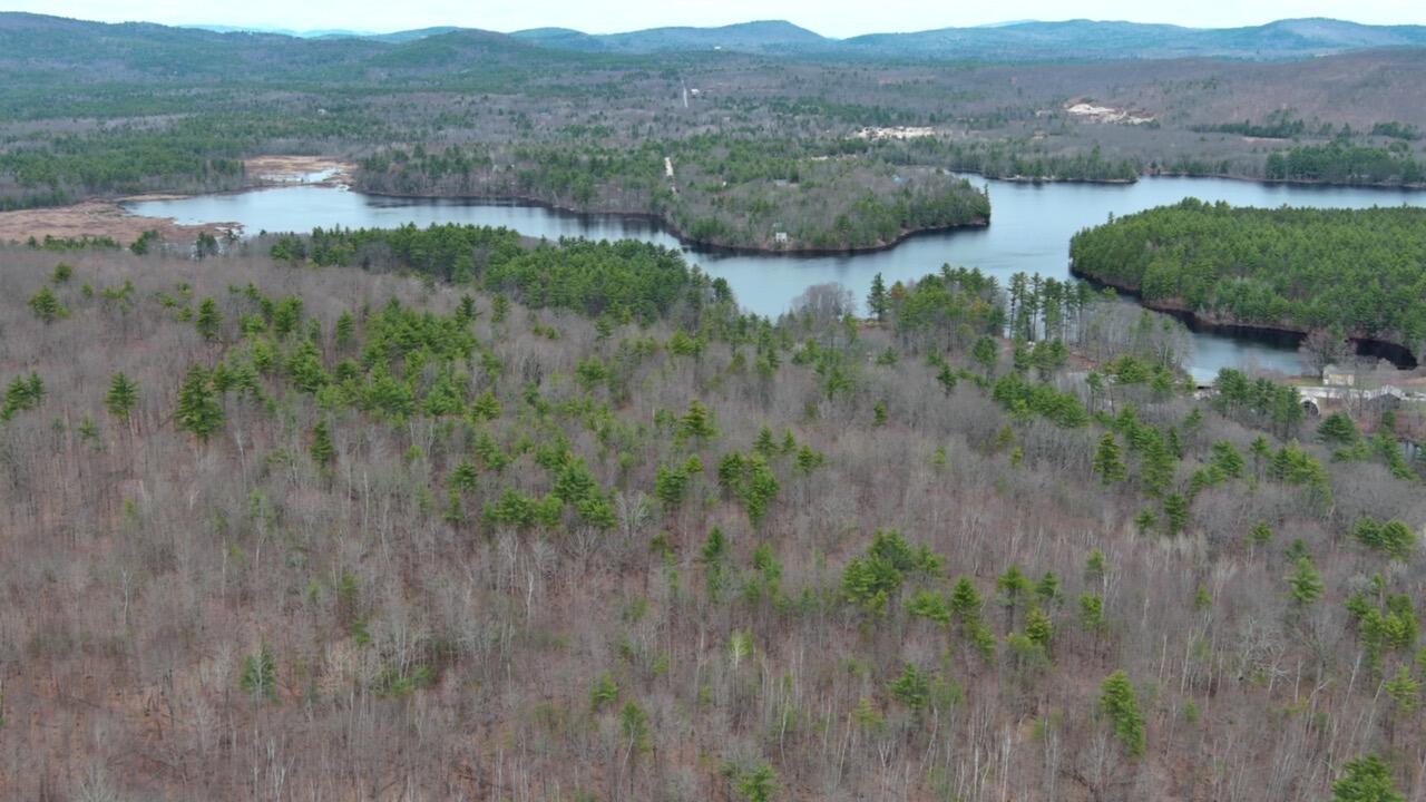 75 Bond Spring Road Newfield, ME 04095 - Photo 16 of 17 MAX_0027
